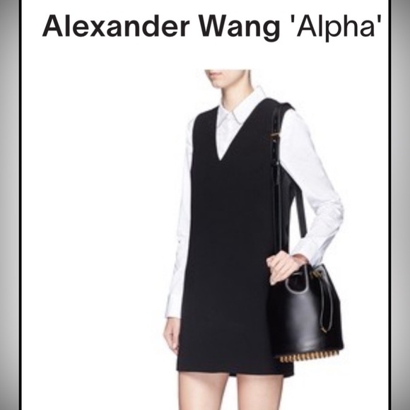 Alex Wang purse, perfect gift for significant other or young lady in your family - Picture 3 of 14